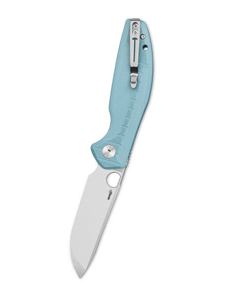 BESTECHMAN Angry Owl BMK12C-1: 3.252" D2 Blade, G10 Scales, Button Lock, Folding Knife